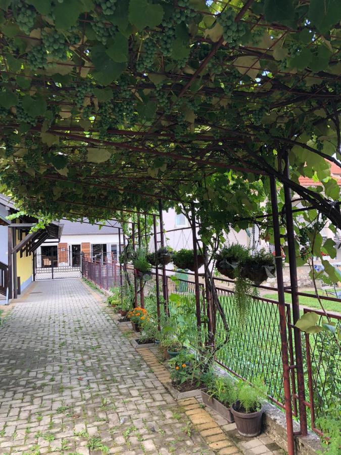 Apartmani Joma Баїна-Башта Екстер'єр фото